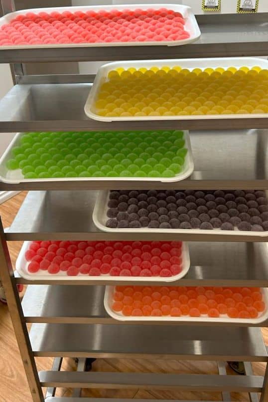 Fruity Jellies Similar to Pate de Fruits in Australia